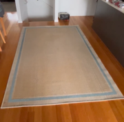 Freedom floor rug in very good condition